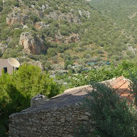 Kaktus Aparthotel *